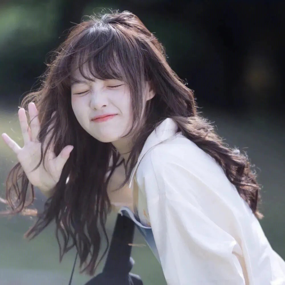 恐龙战队第五季