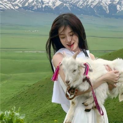 波登人生不设限